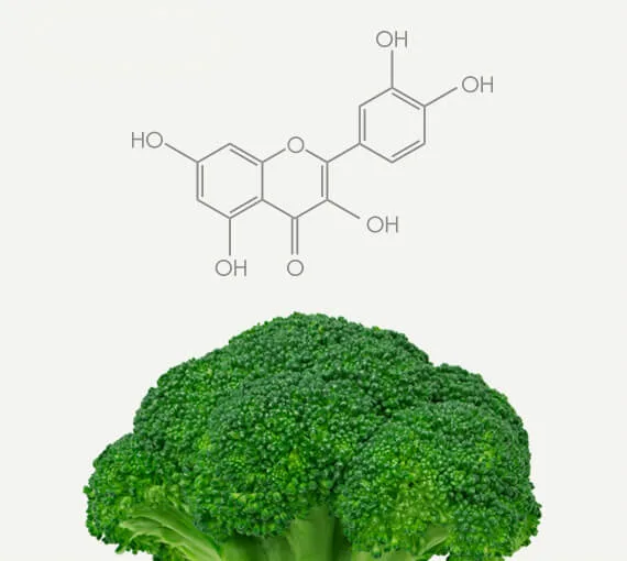 Broccoli Polyphenol