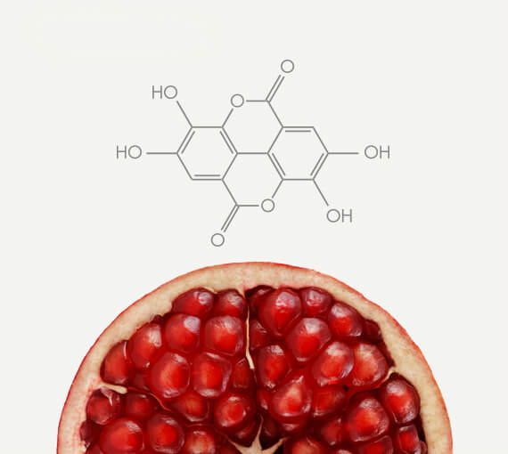 Pomegranate Polyphenol