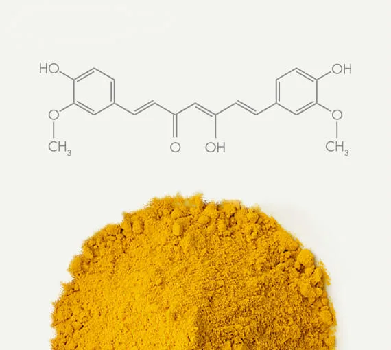 Turmeric Polyphenol